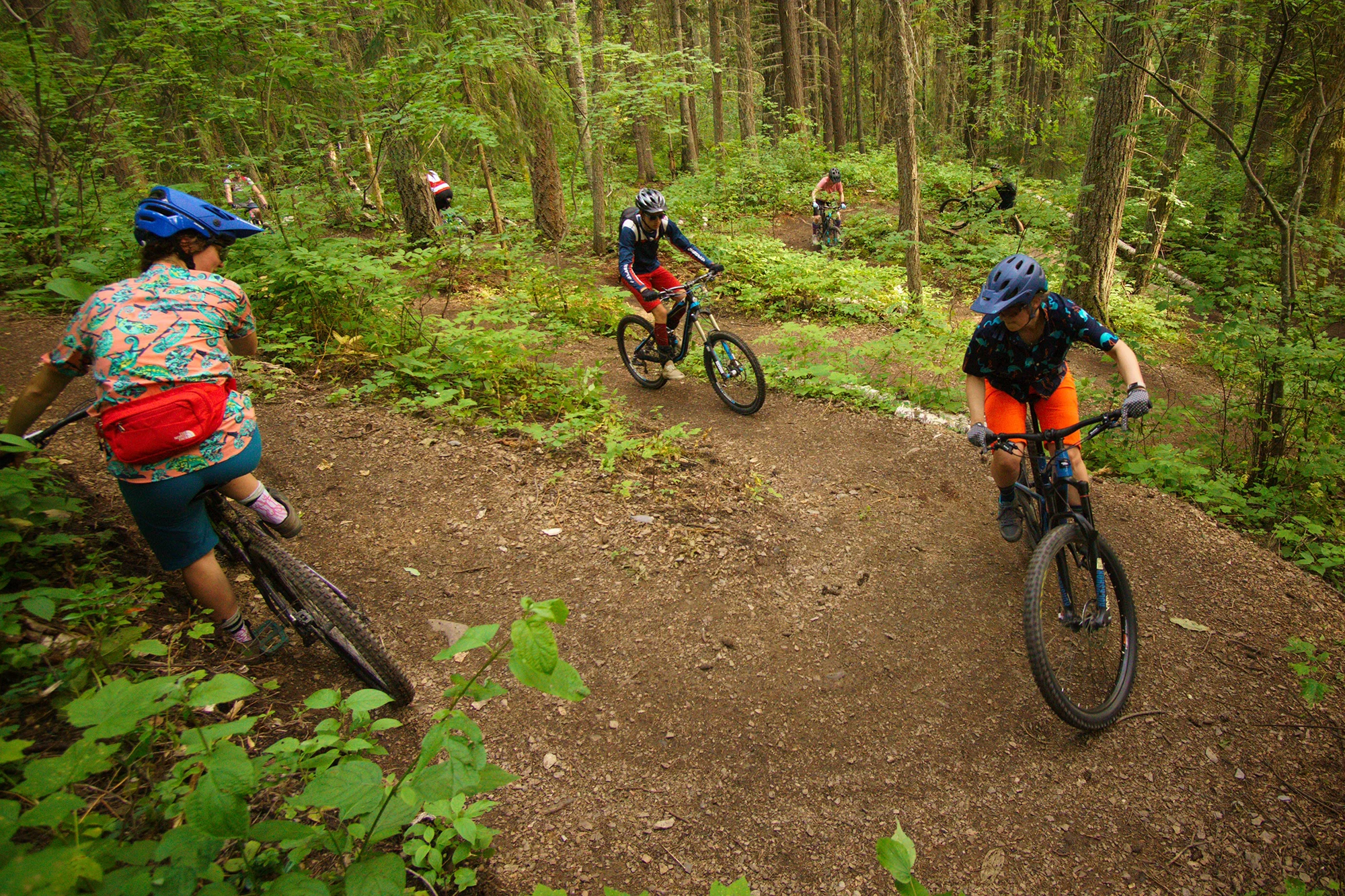 Quesnel Mountain Bike Trails